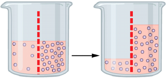 How Does Osmosis in Science Work? Thumbnail