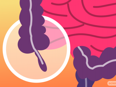 Appendix
