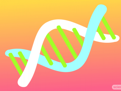 DNA