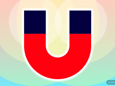 Magnetic Poles
