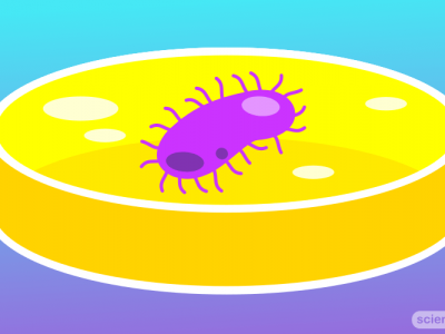 Microbiology