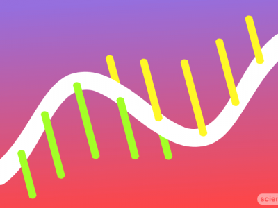 RNA