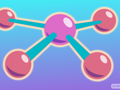 What are Biomolecules