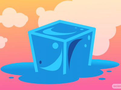Visible States of Matter